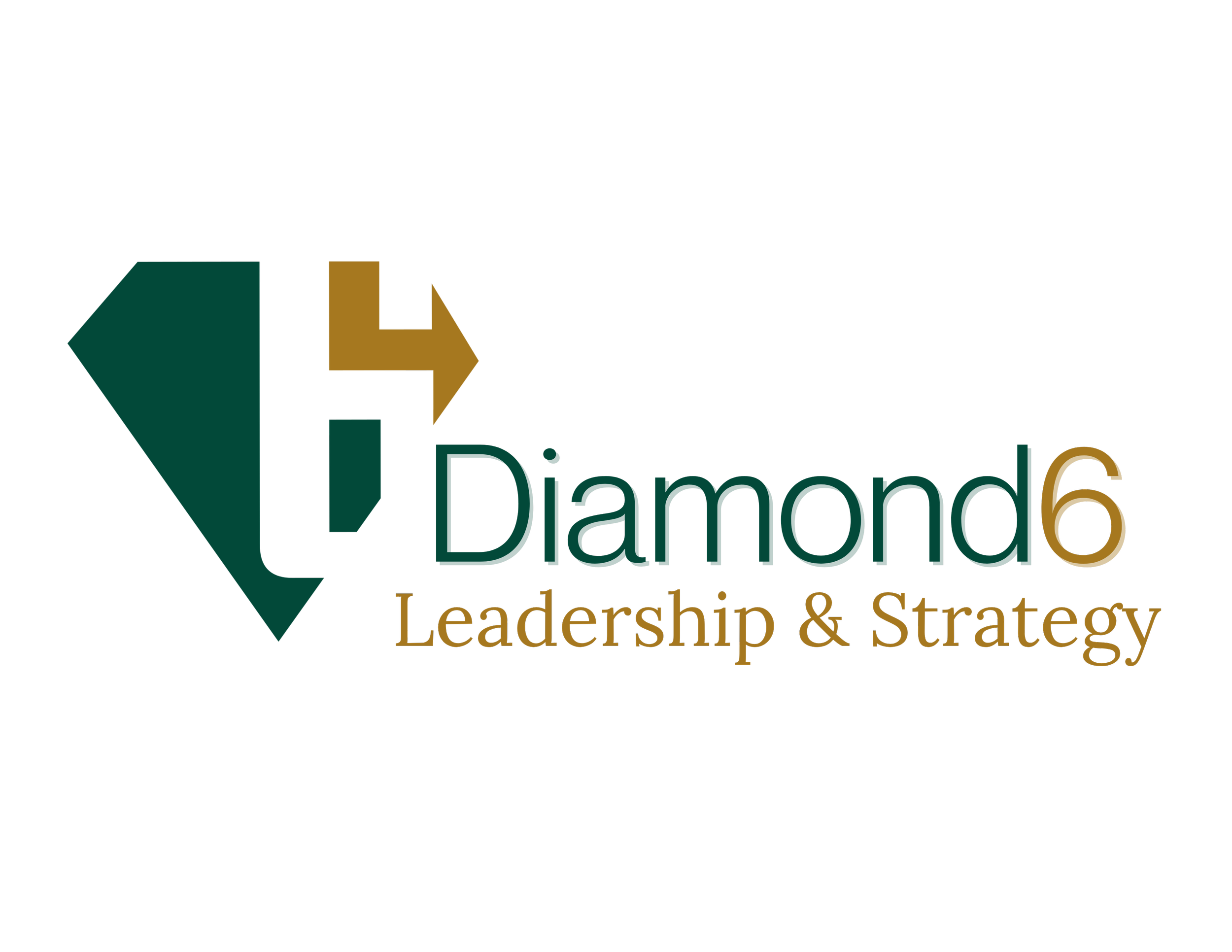 Diamond6 Leadership &amp; Strategy, LLC