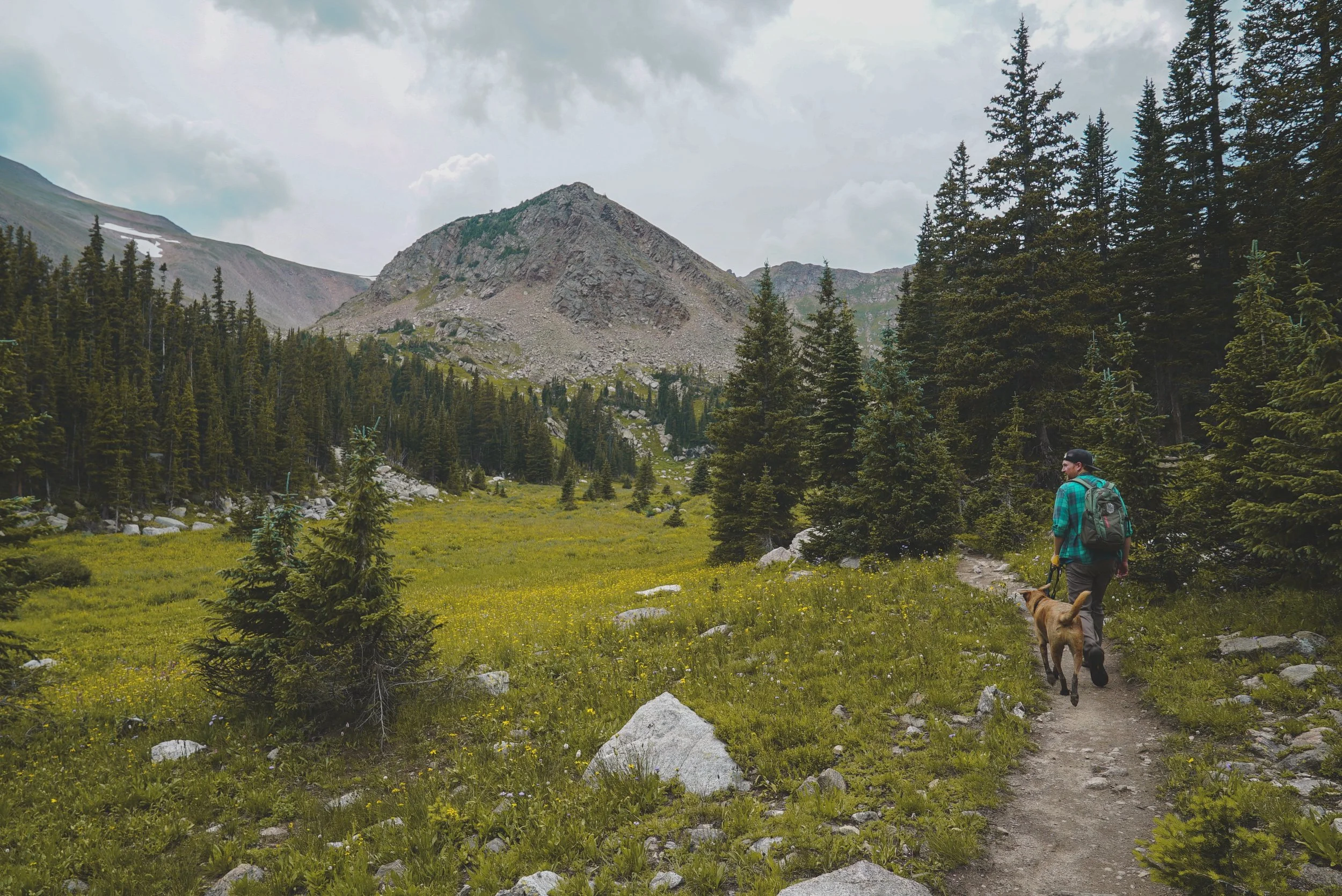 Just a man and his dog in the mountains.