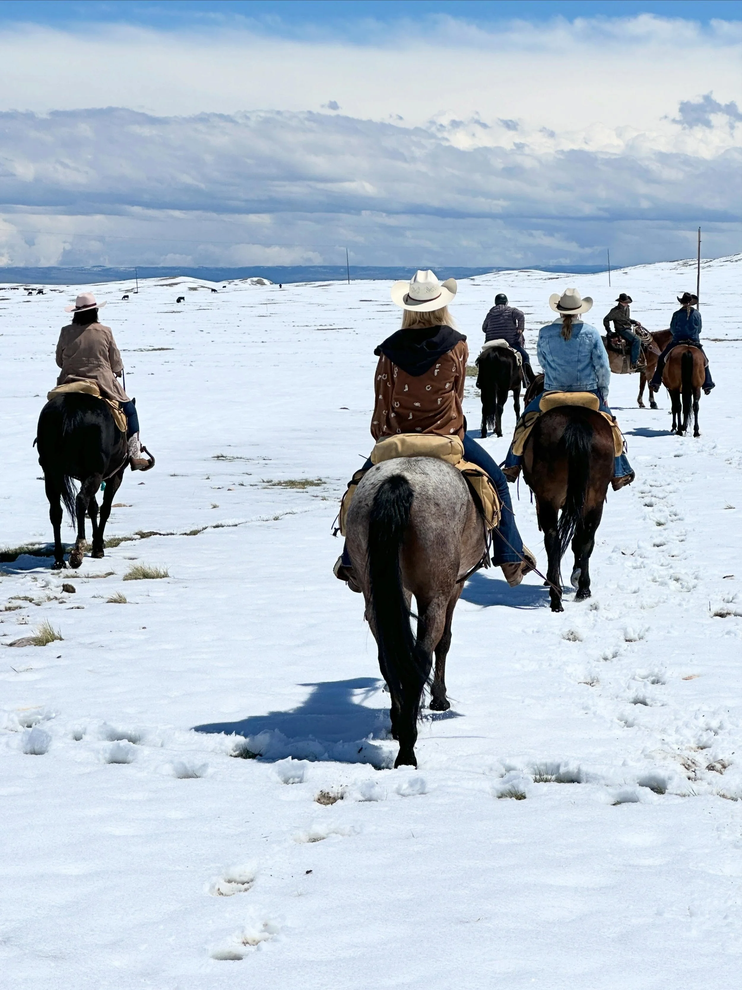 From blizzard to blue sky, the write and ride retreat was one to remember. Great horses, guests &mdash; a writer&rsquo;s heaven on earth #horseandwriting #guestranch #wyoming #authorretreat #selfpublishing