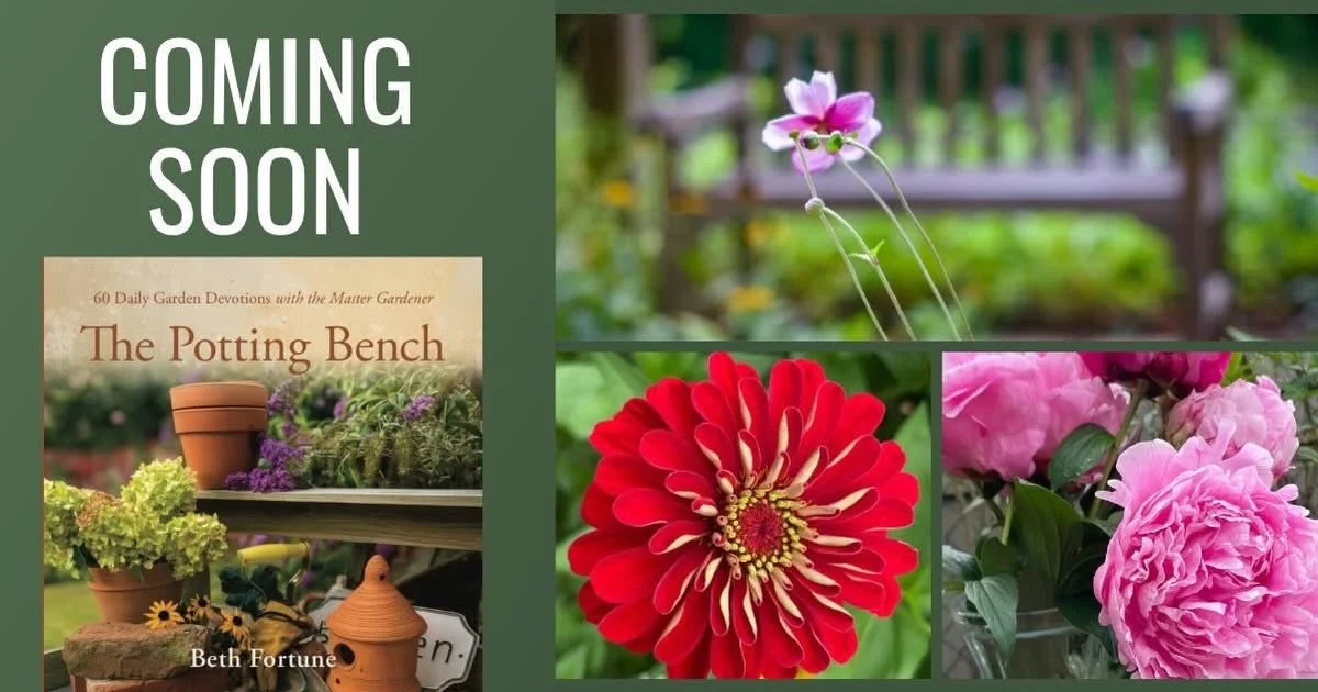 I&rsquo;m excited about a new devotional coming soon: The Potting Bench&mdash;60 Daily Garden Devotions with the Master Gardener.

For those who love all things gardening&mdash;or know someone who does&mdash;and want to dig deeper in God&rsquo;s Word