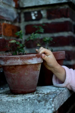 MY GARDEN IS GROWING!