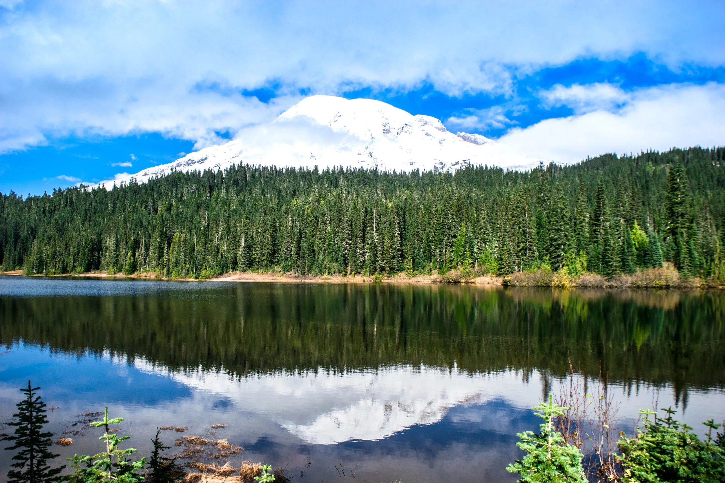 rainier.jpg
