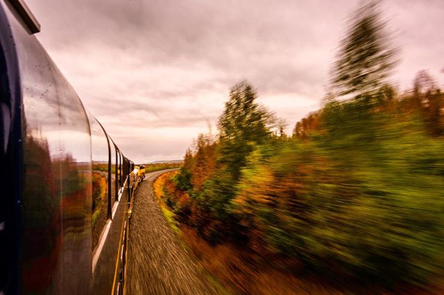 Vroooooming down the #Alaskarailroad! Trains. Are. The. Best. (Especially when zooming through the wilderness from #Anchorage to #Denali.) #bringbacktrains
