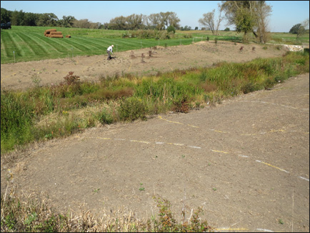 nmafg-plugplanting-2014-c-aten.jpg