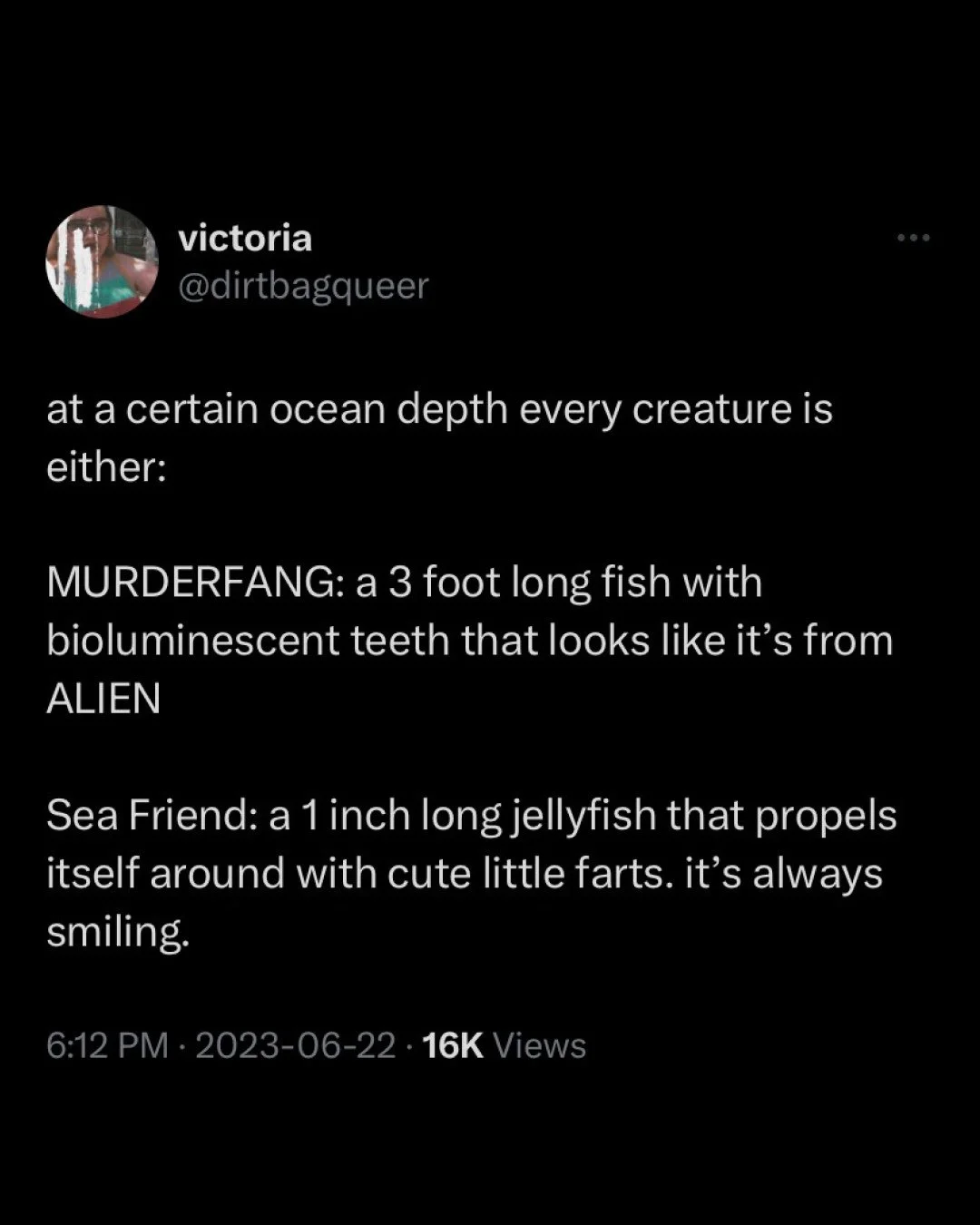 Deep sea shenanigans in meme form for your weekend