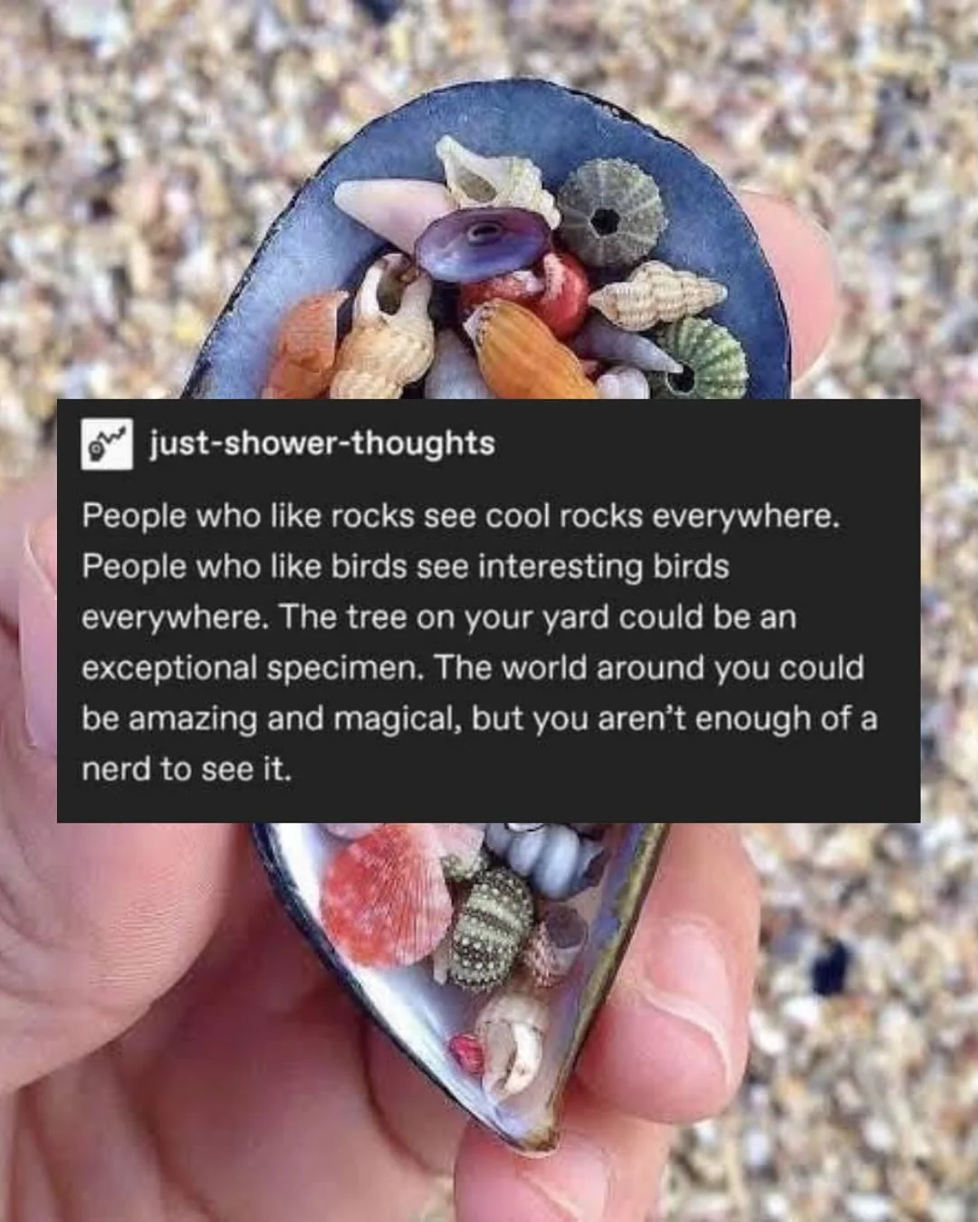 Wonder is a beautiful thing&hellip;something we should all nurture whenever we can. Out in nature, there&rsquo;s no shortage of moments to marvel at, and it&rsquo;s that sense of awe that reminds us why we protect what we love.