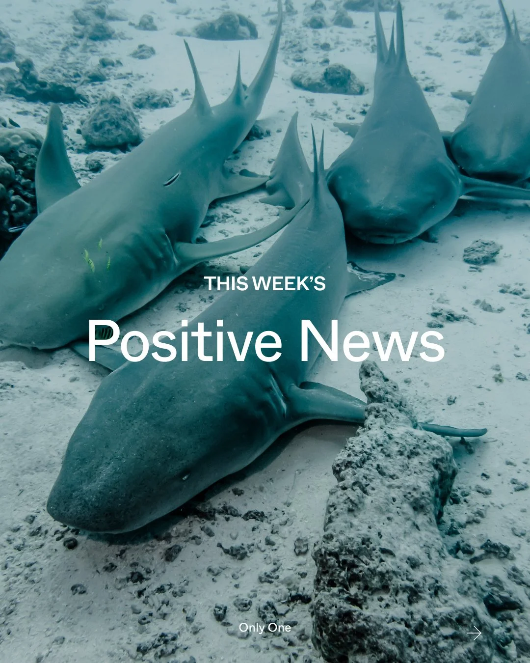 Take out your maps and compasses, it&rsquo;s Geography Awareness Week (it&rsquo;s a real holiday, look it up!). What better way to celebrate our world &mdash; and the 70% of its surface covered by ocean &mdash; than by celebrating wins for our waterw