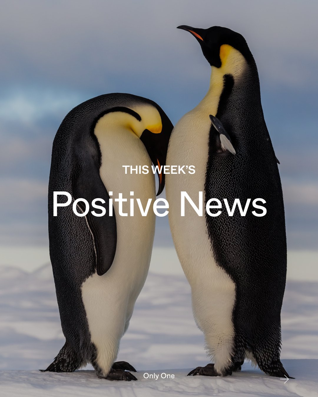 This week &mdash; and every week &mdash; we&rsquo;re thankful for the animals, ecosystems, and communities that keep our air, water, and lives thriving, and for the Earth defenders working tirelessly to protect these irreplaceable resources.