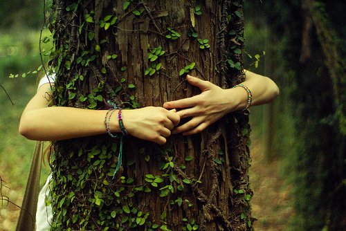 Tree Of Life, Roots Of Resilience 
