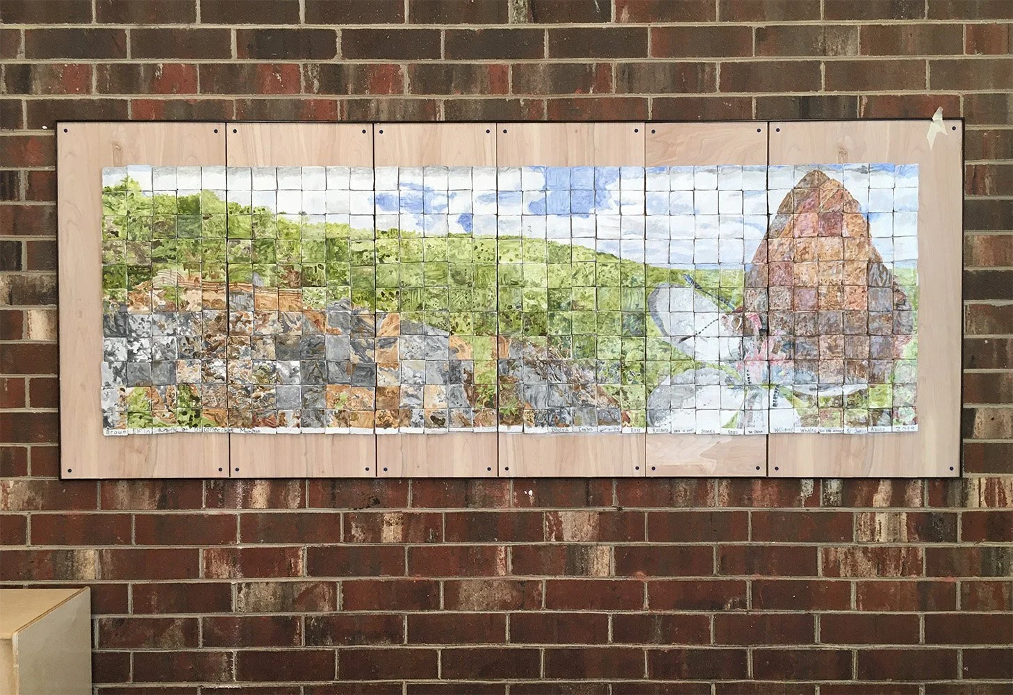 Brown Elfin Butterfly at Occoneechee Mountain, Hillsborough, NC, 2019