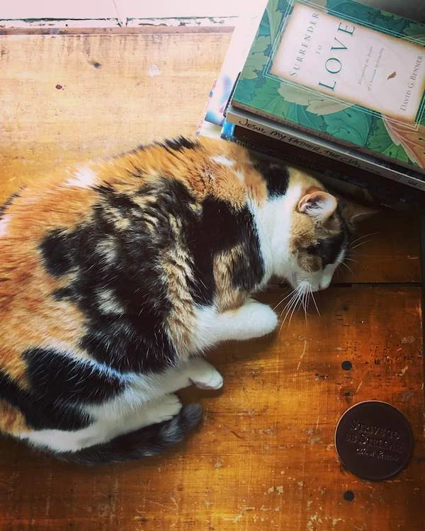 Lucy.jpg