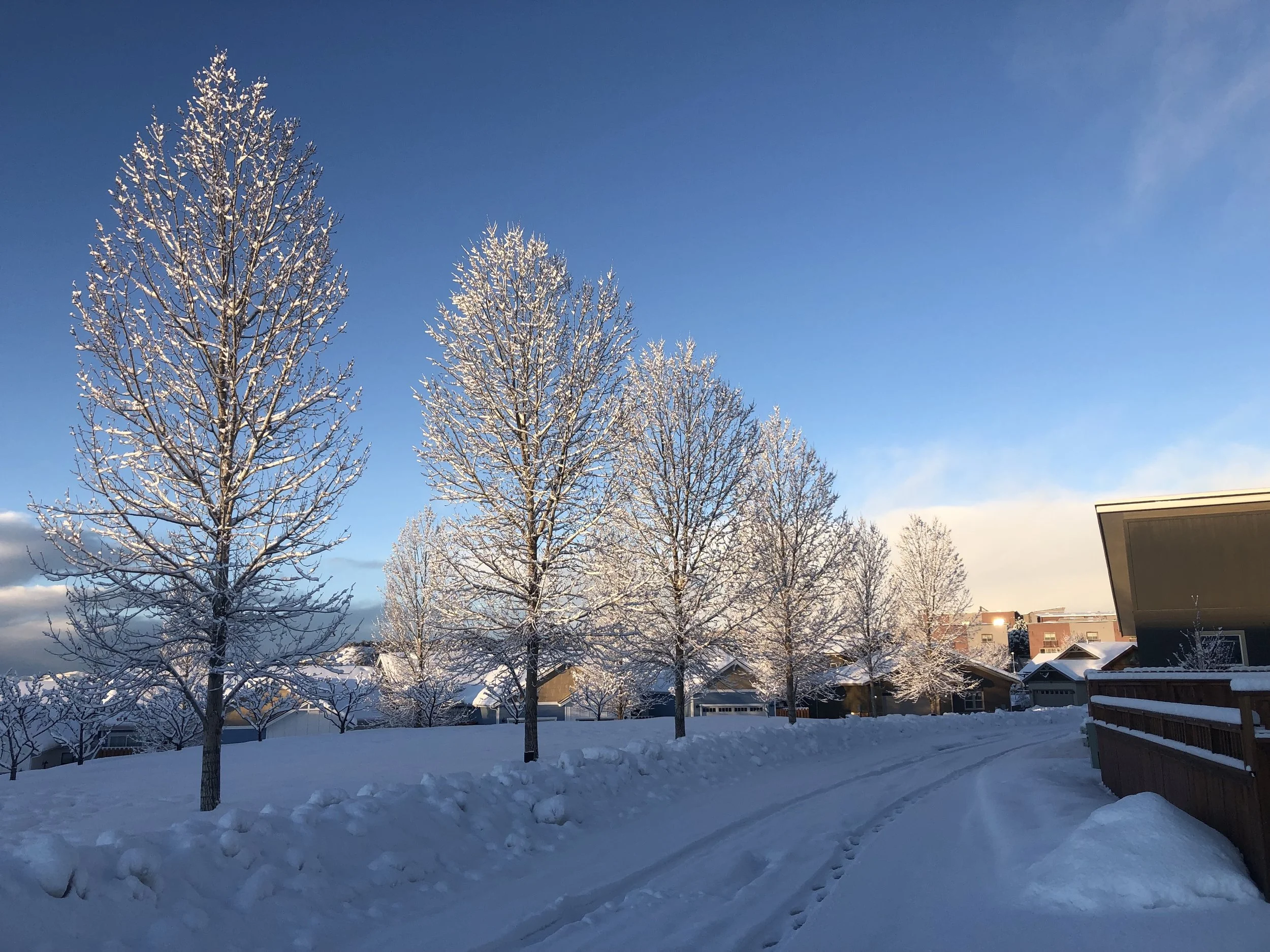 Durango colorado