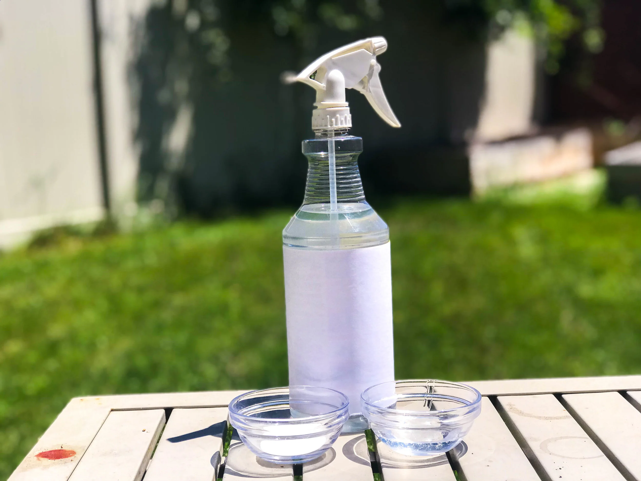 “Mix the white vinegar, dish soap and a dash of salt together and put it in a spray bottle.”