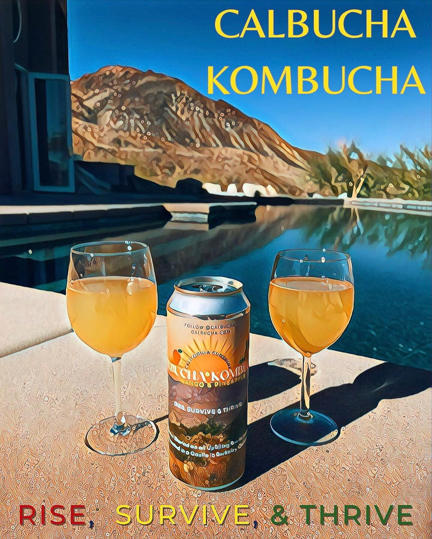 CalBucha Uplifting Wellness Lifestyle content coming soon&hellip; creative vision activate 🌕 Video on the CalBucha journey, from the historic castle in Berkeley to the desert dreamworld in Palm Springs, integrating wisdom from teachers along the way