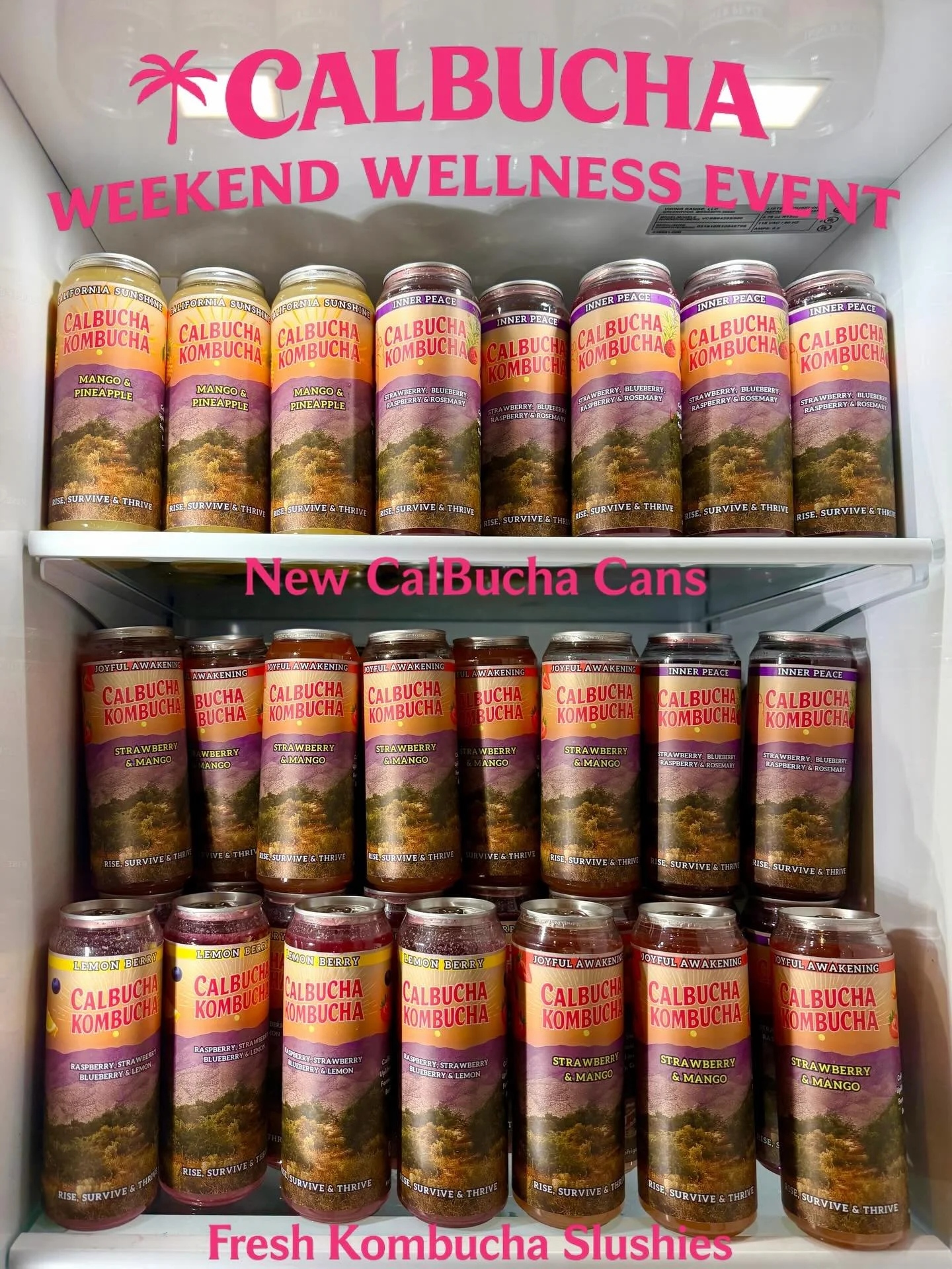 Weekend plans = handled 💅
Catch us at the Palm Springs Certified Farmers&rsquo; Market
Saturdays | 8AM&ndash;1PM

New CalBucha cans + fresh kombucha slushies ready for you ☀️
Come sip something good.

@calbucha