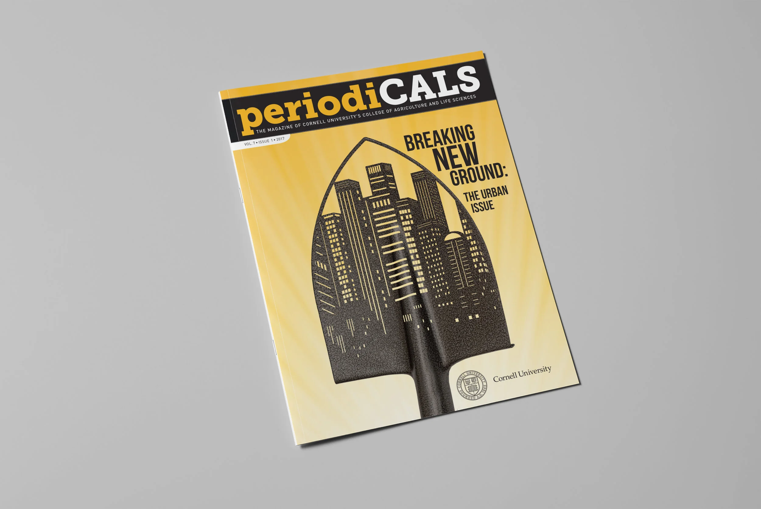 03_cover_SHOVELperspective.jpg