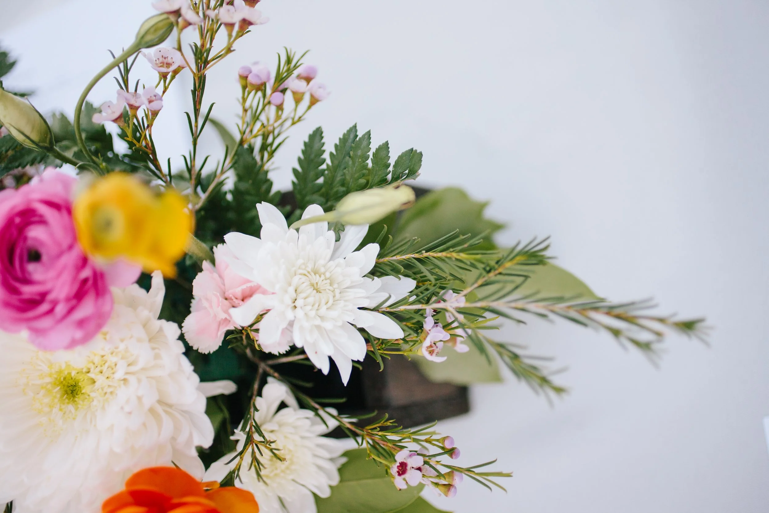 Wedding Arches Rental: Ravanna Jackson