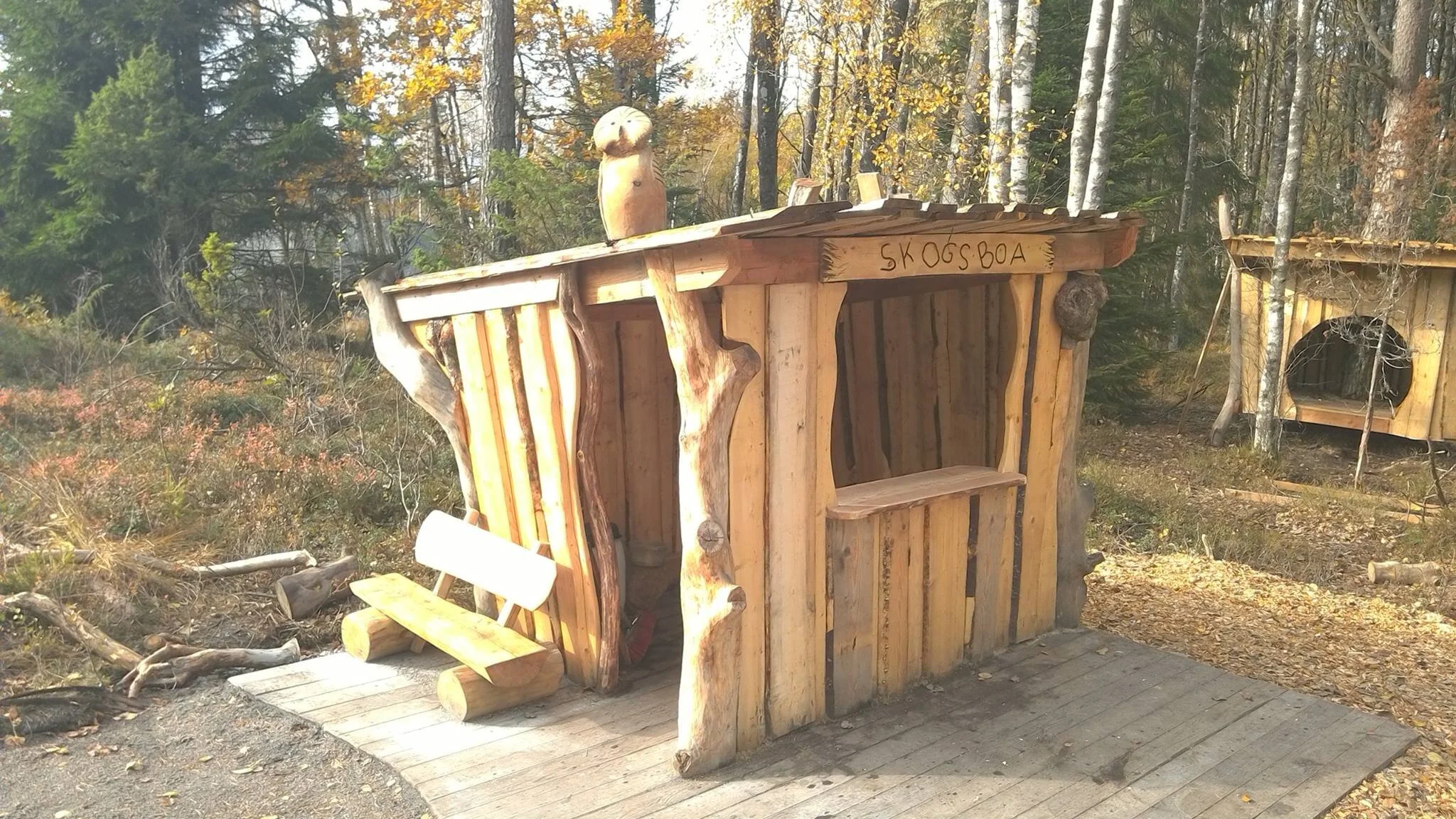 skogsboa.jpg
