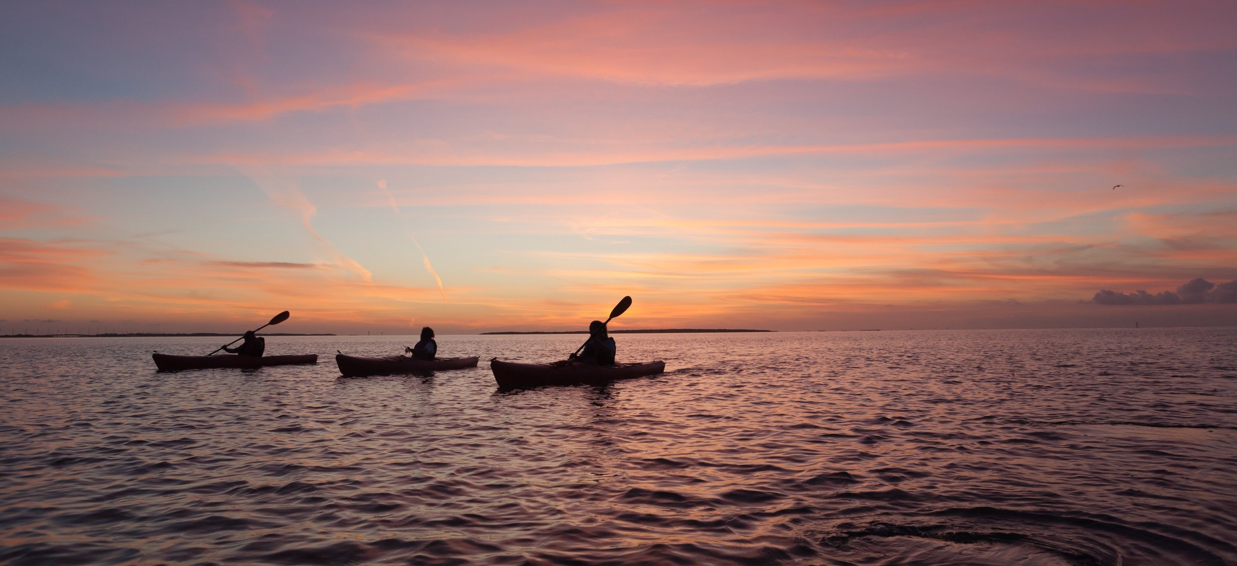 Kayak%2B-%2B1.jpg