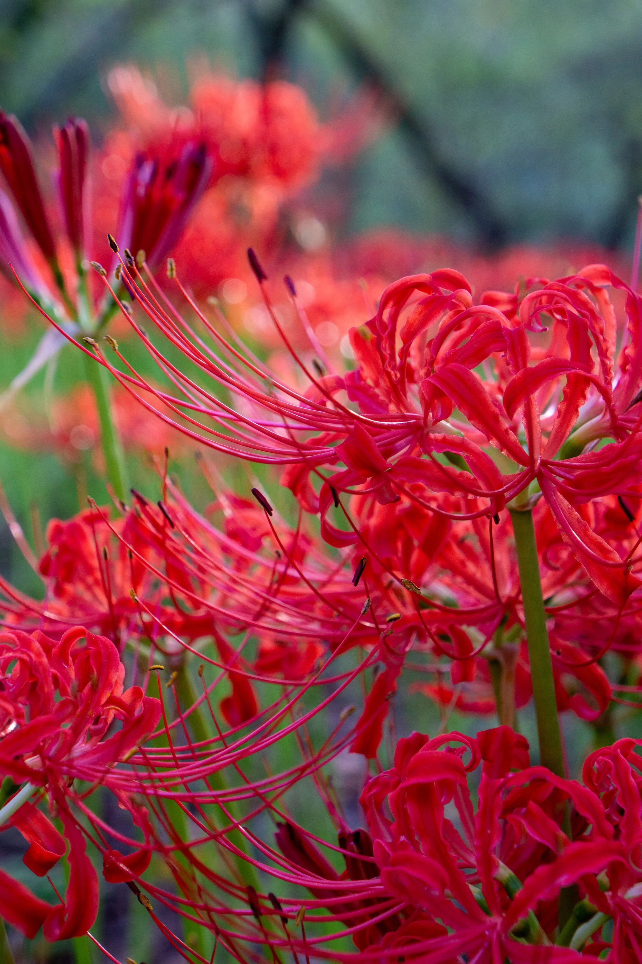 TRAVEL PHOTOGRAPHY 2025