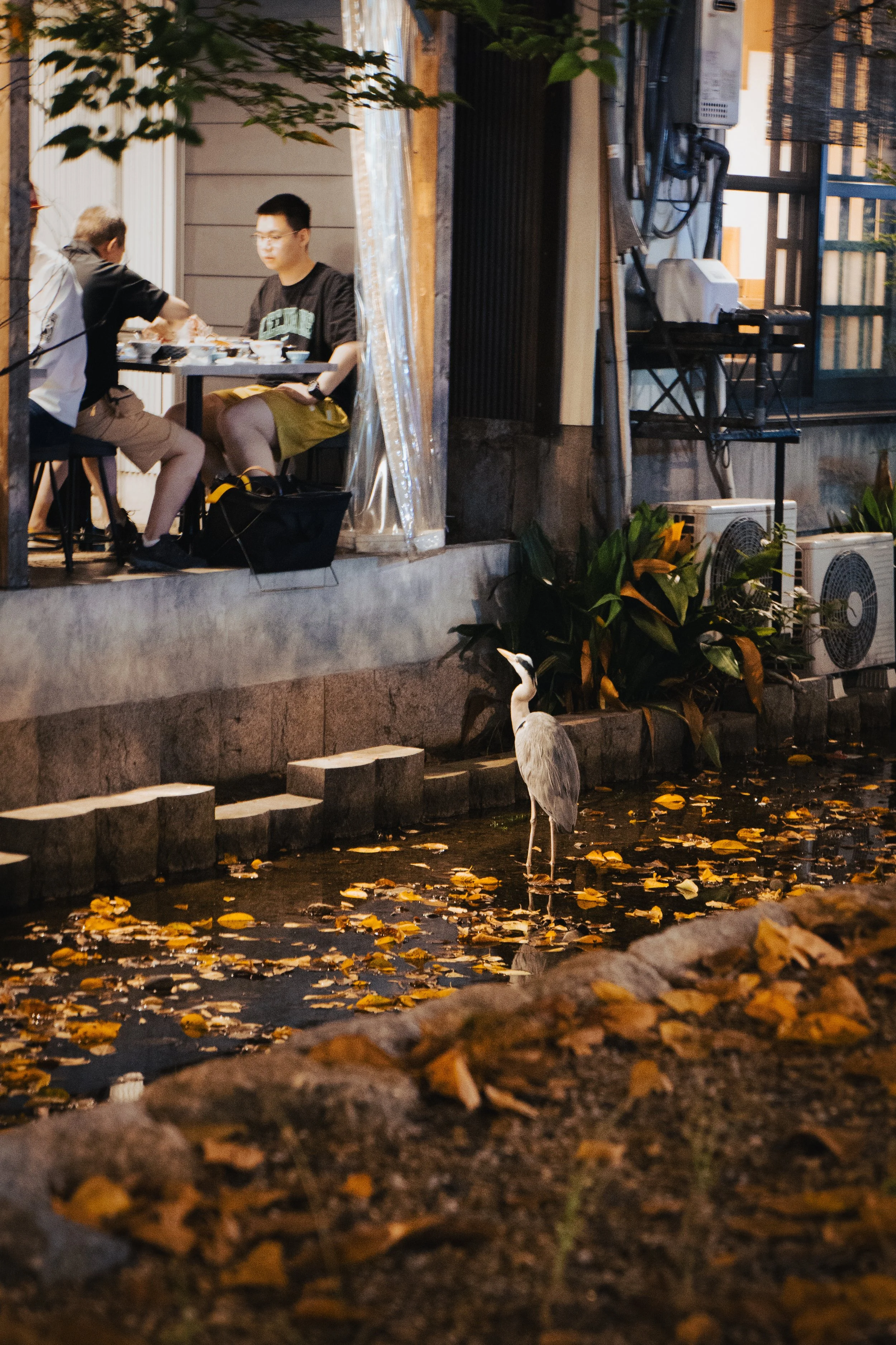 TRAVEL PHOTOGRAPHY 2025