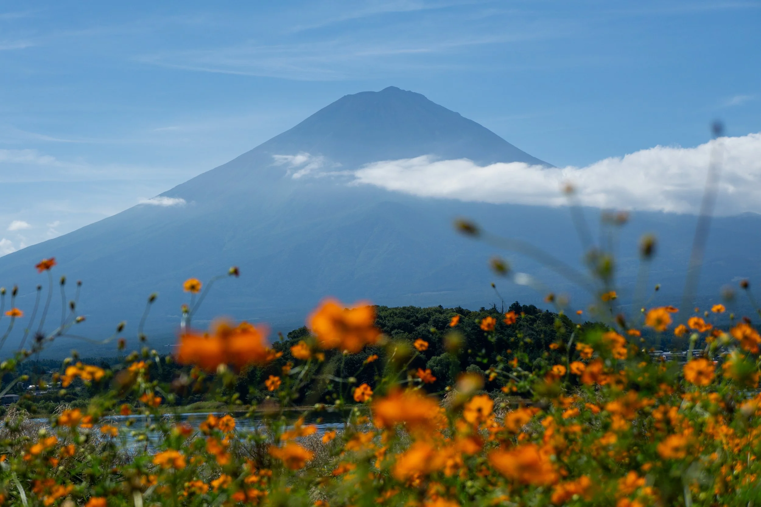 TRAVEL PHOTOGRAPHY 2025