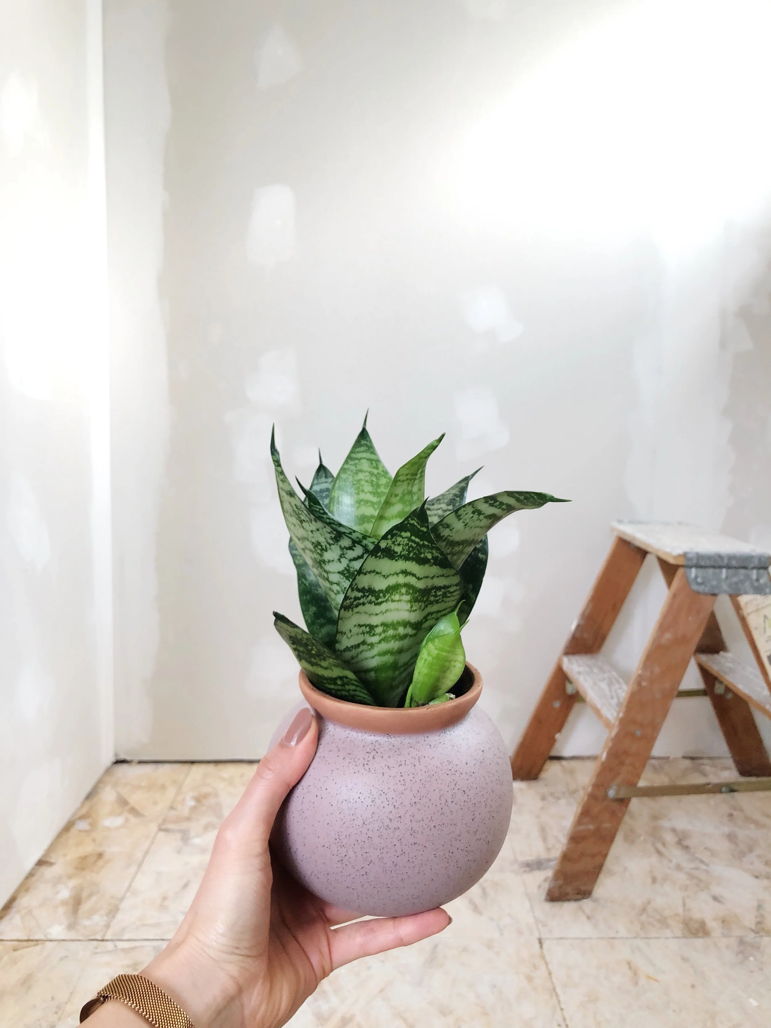 What's happening in the bathroom?