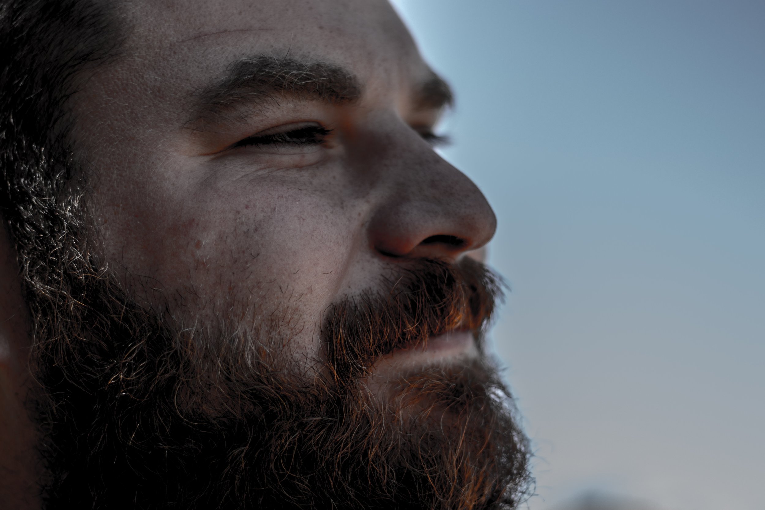 jeremy-perkins-317087.jpg