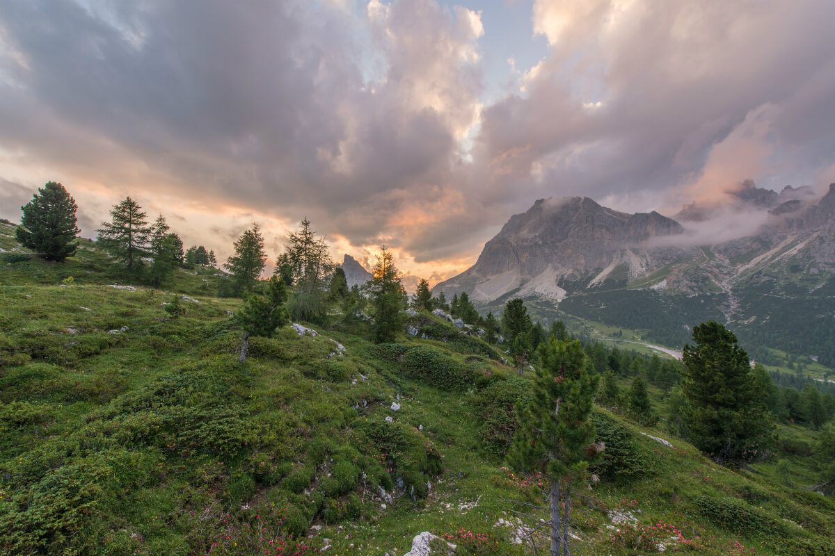 ales-krivec-26510-1.jpg
