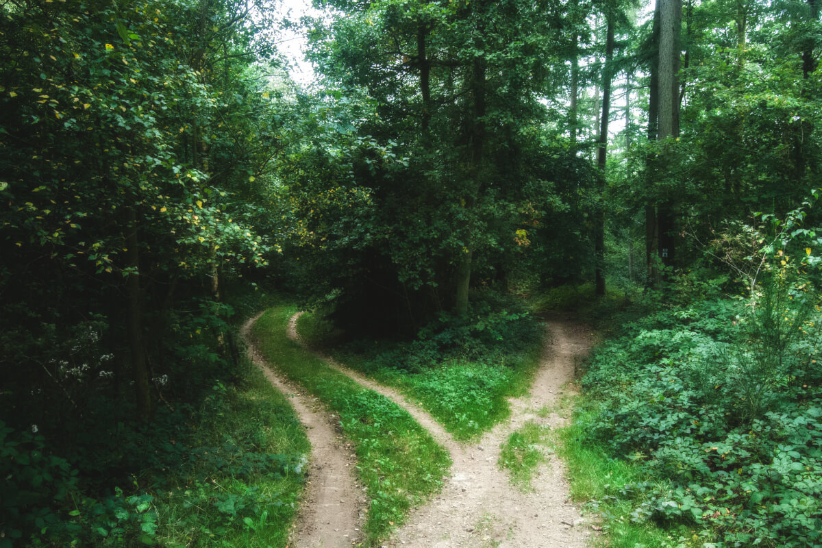 jens-lelie-15662-unsplash-1.jpg