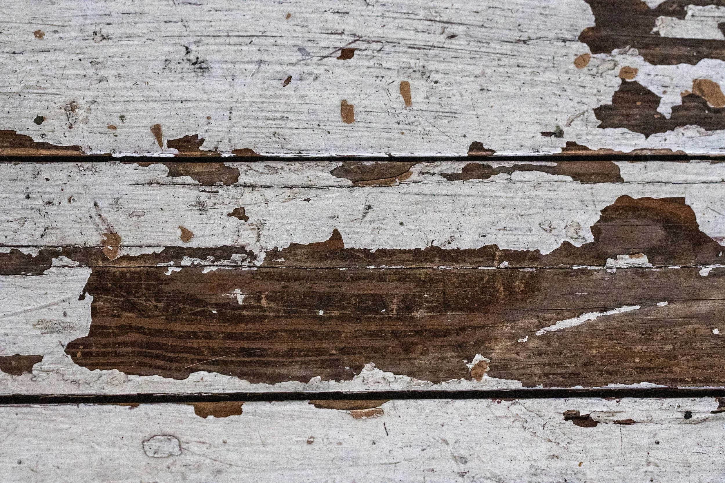 When God’s Plans Leave Us Distressed