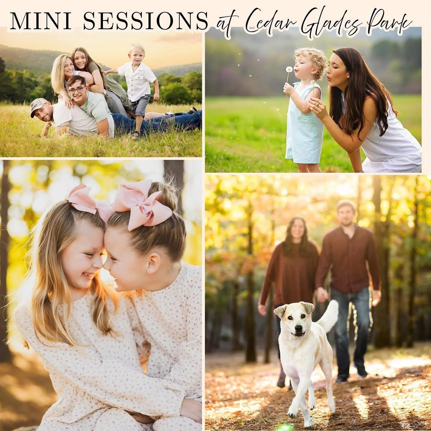 !!!! MINI-SESSION GIVEAWAY !!!
📷 It&rsquo;s not too late to book family photos! 
📆 Sunday, NOVEMBER 9 &amp; 16, 2:00pm-4:30pm 
📍CEDAR GLADES MINIS / 30-minute sessions
✨$225 : Includes 30-50 proofs in your gallery and 5 edited, hi-res images

🤩 O