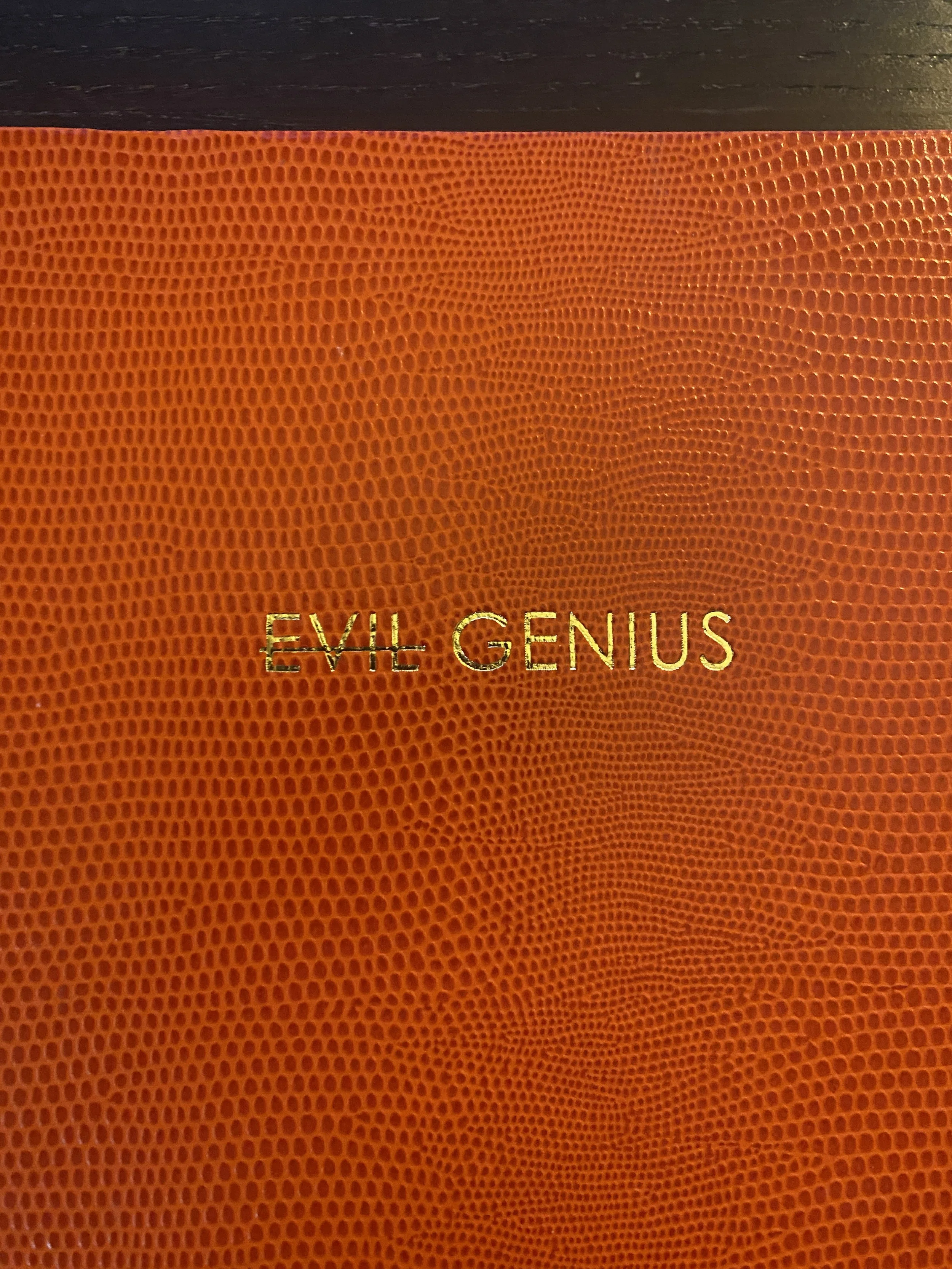 My Great Big Notebook of Ideas