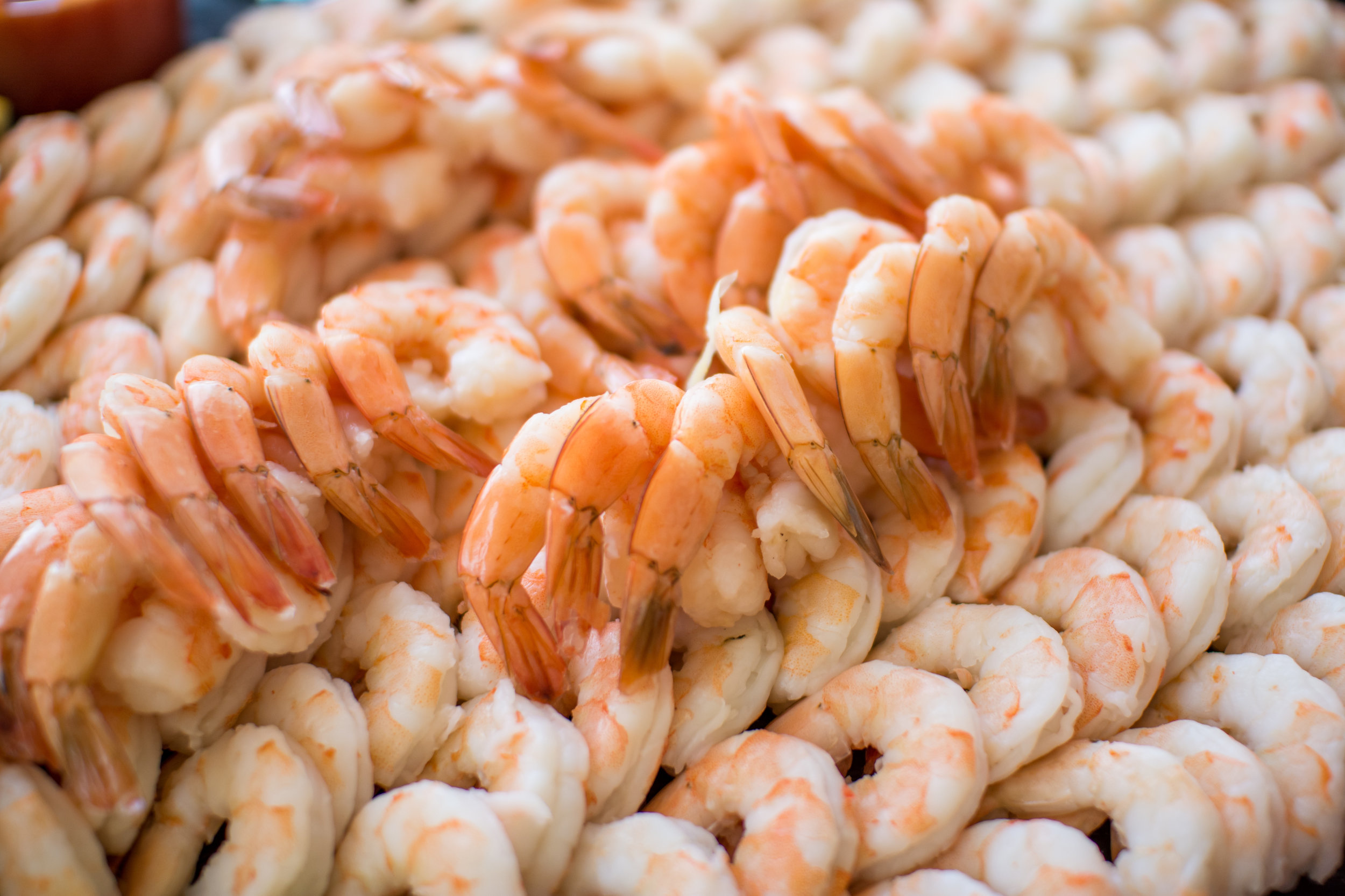 Canva - Shrimp, Seafood, Prawn, Snack, Food, Jumbo.jpg