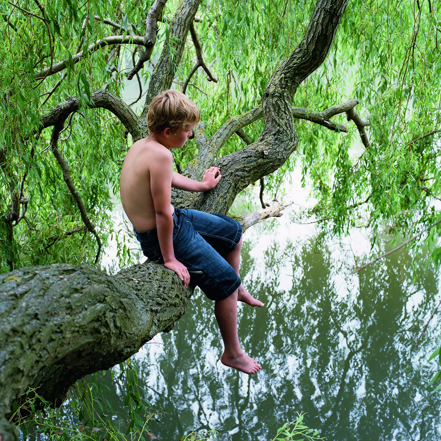 Sitting in the lost tree, 2008