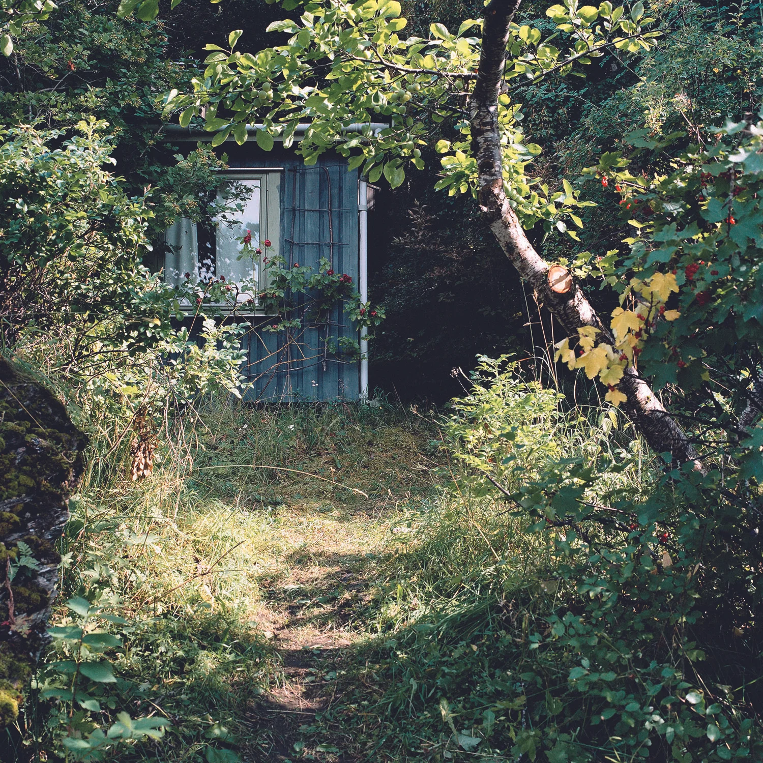 House with a hook, 2006