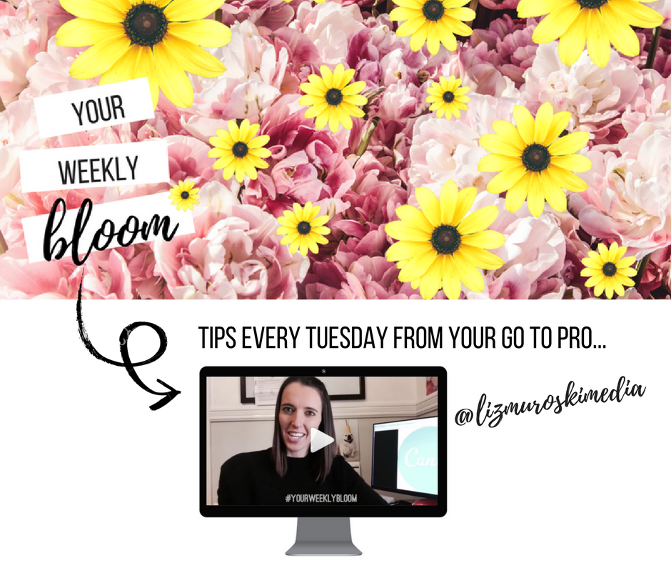 Your Weekly Bloom with Liz Fleming - Now at @mslizfleming