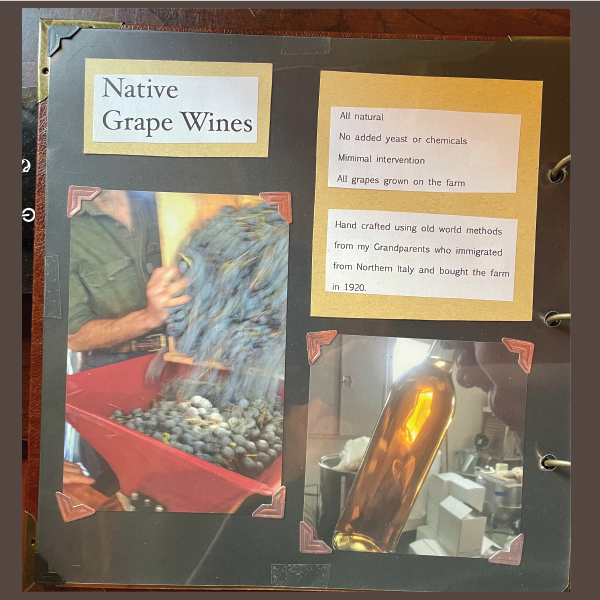 grape wine-01.png