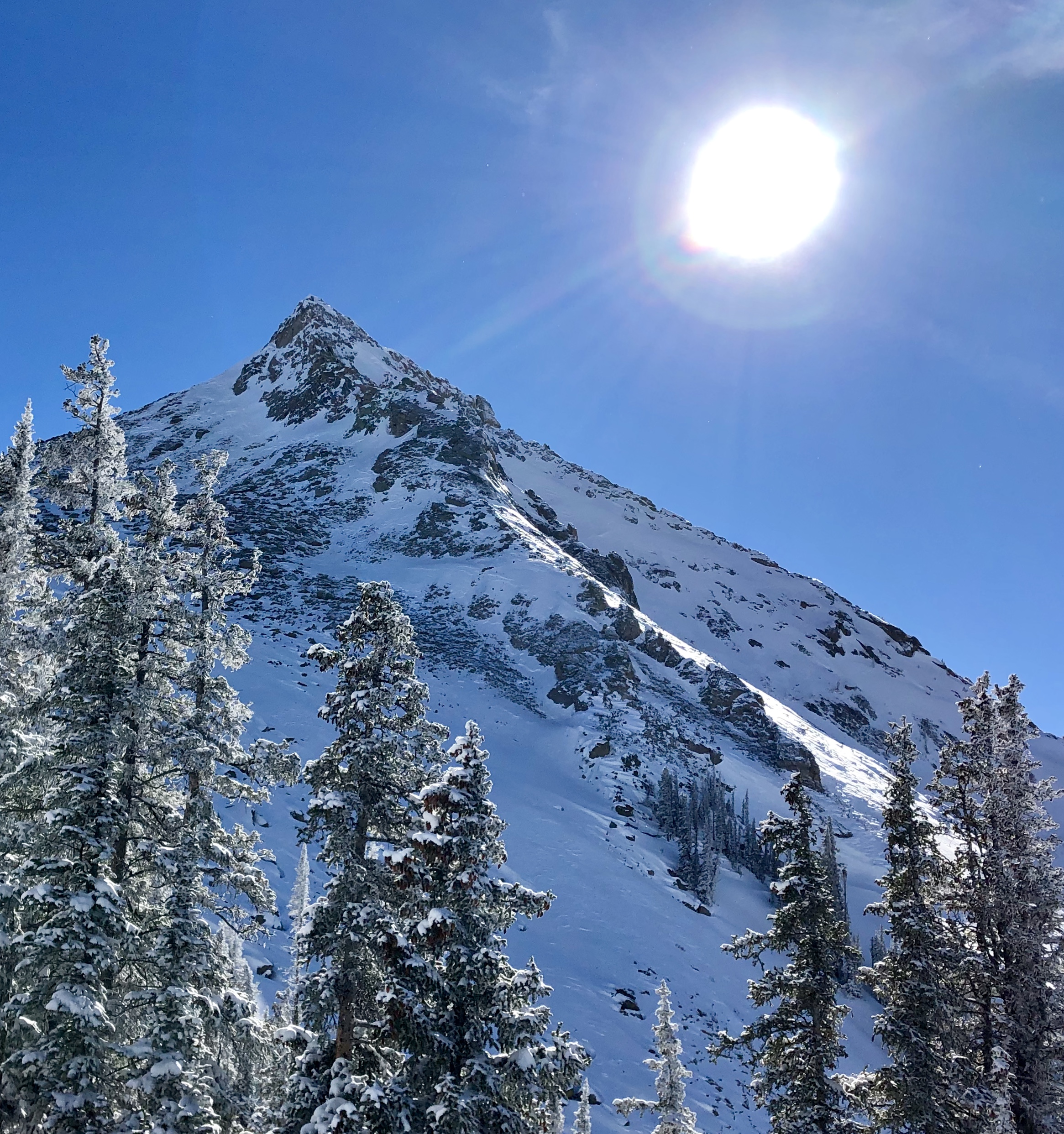 Mount Crested Butte and Engelmann Spruce near it’s summit. Partnering with the US Forest Service the Vegetation Management Plan was created to maximize ecological vitality and resiliency of forests within the ski area boundaries.