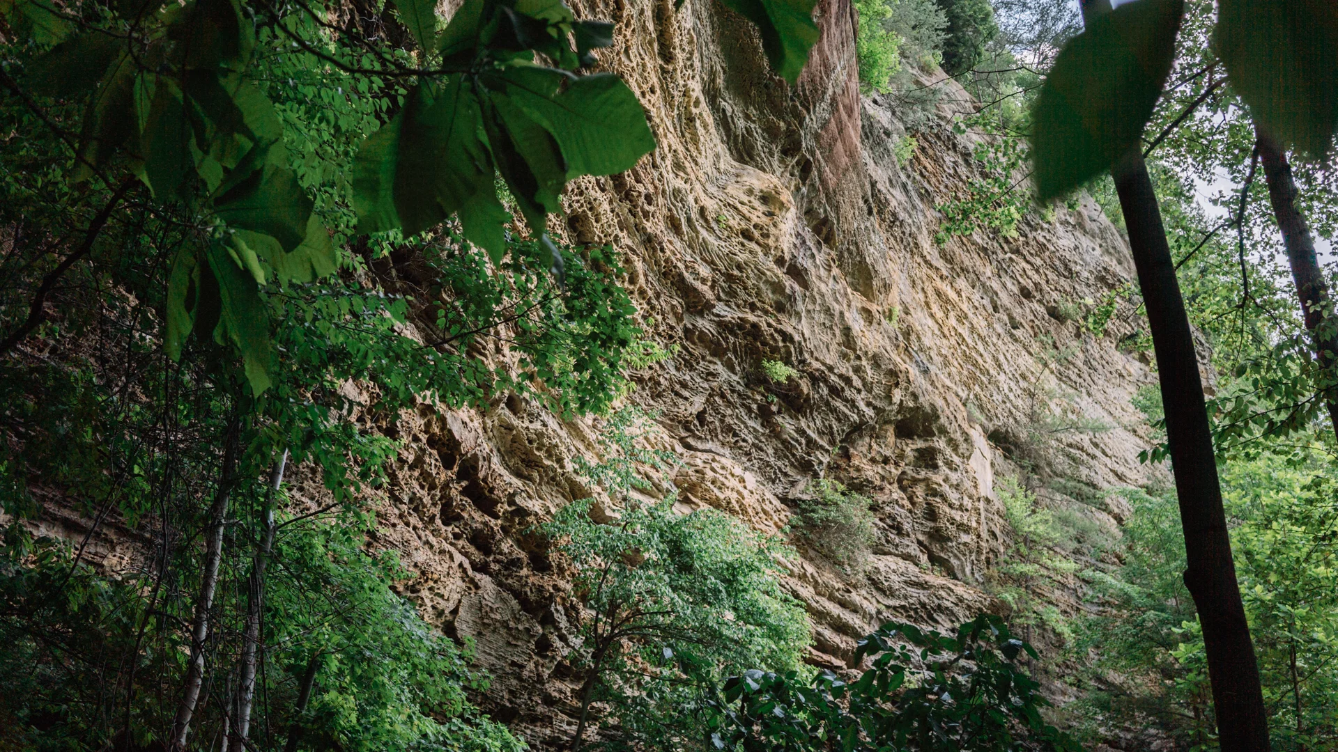 Roadside Crag, Red River Gorge