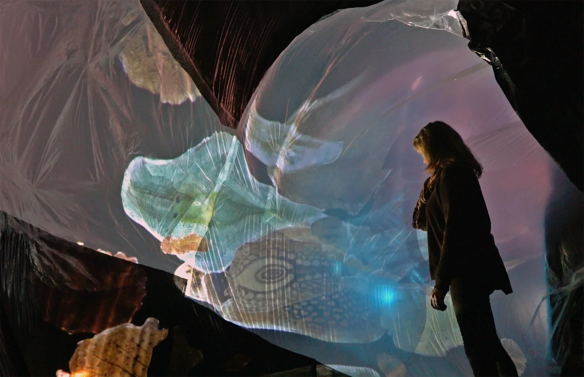 Plasticity_8.jpg