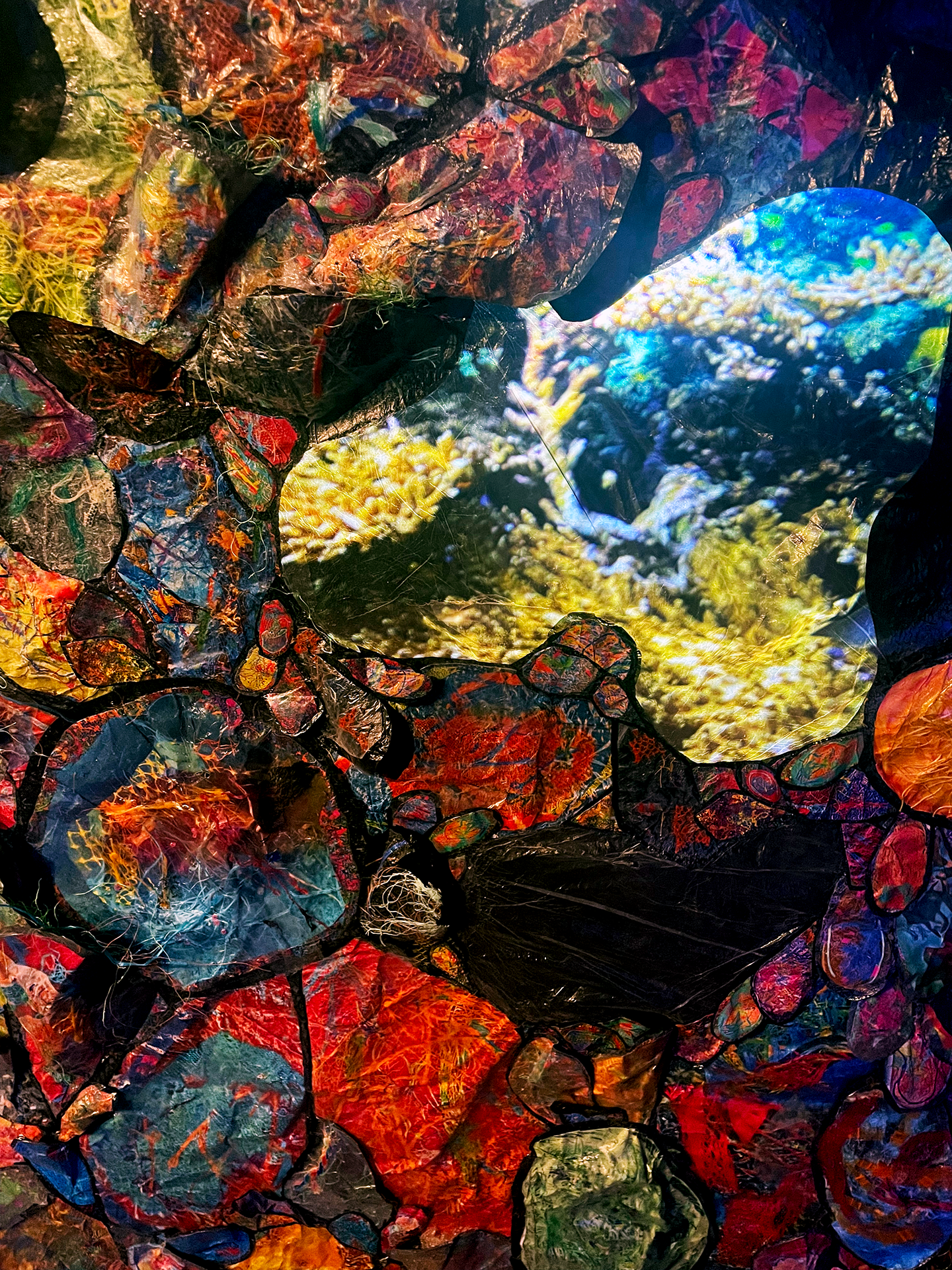 oceandays_7.png