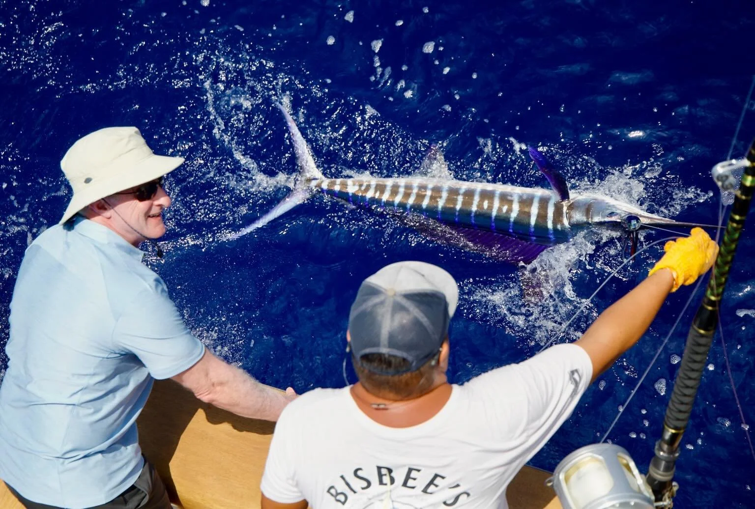 Stripey kind of day yesterday with Bryan, Sean and Johnny all hooking up! Marlin Magic Ruckus and Superdog lures with Fudo hooks. 🤙
.
.
📸 @fishergal808 
.
.
#marlinmagic #marlinmagiclures #fudofishing #stripey #hookedup