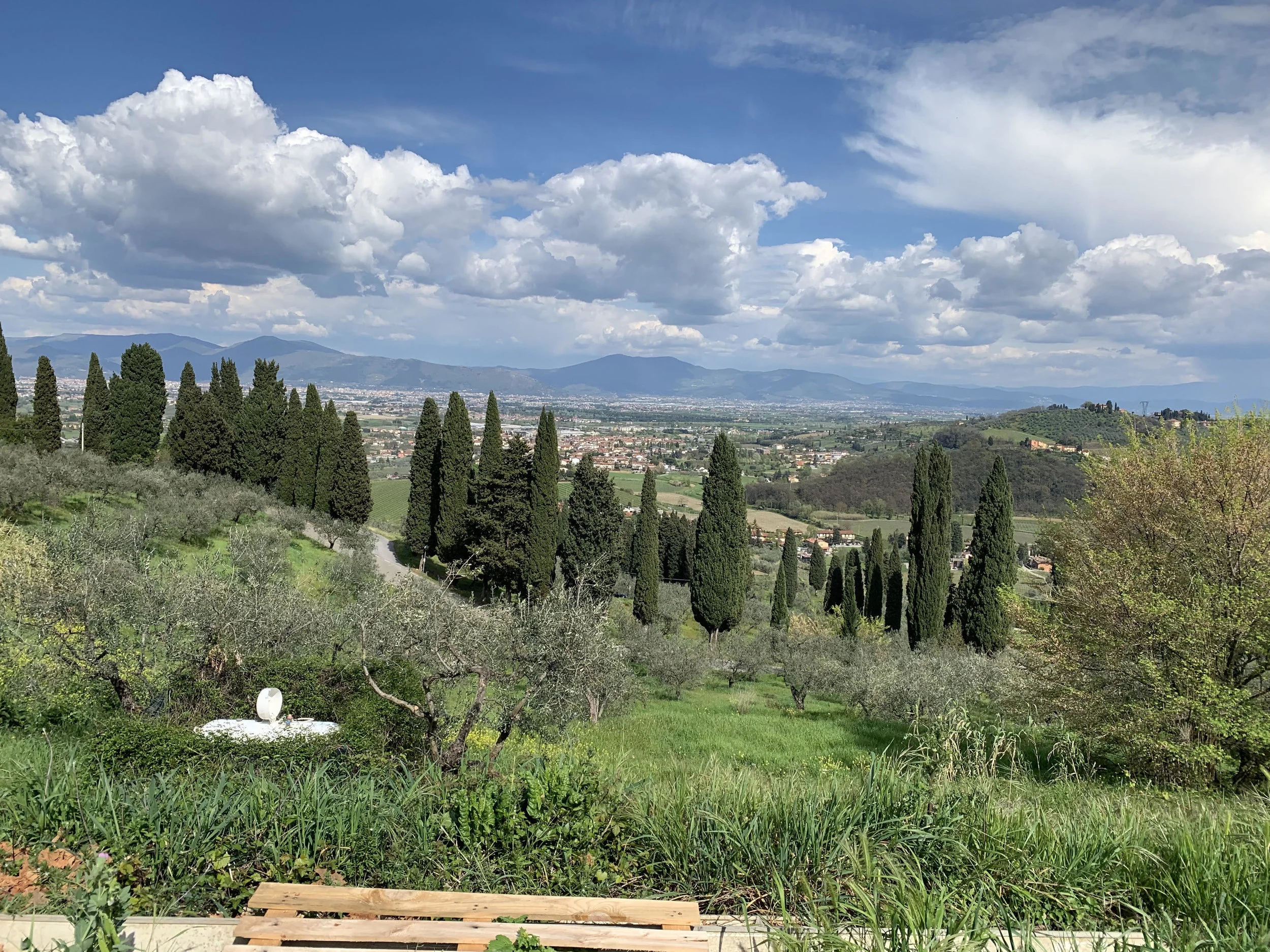 Tuscan-landscape.jpg