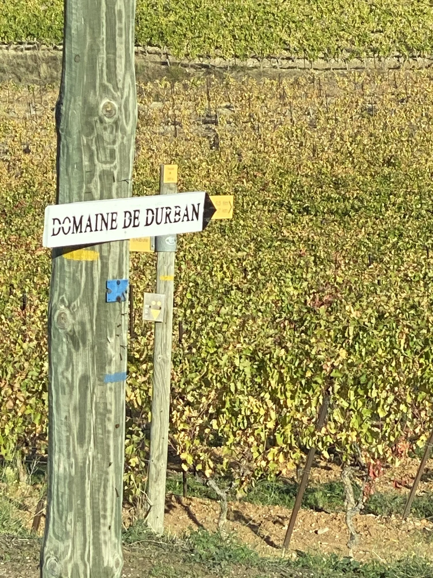 Provence Wine Trip Recap &amp; Gallery