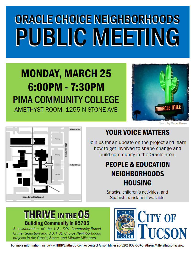 Choice Public Meeting 190325 Flyer English.png