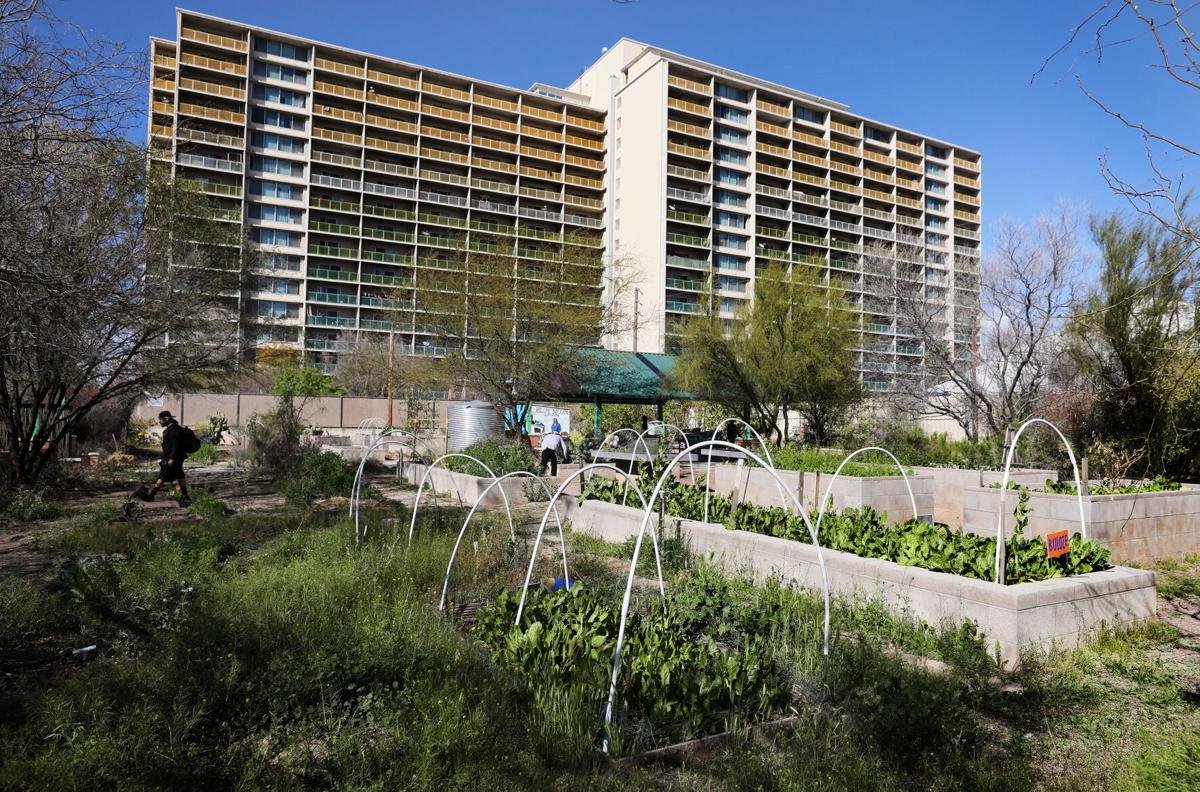 Community gardens increase food security, wellbeing for Tucsonans