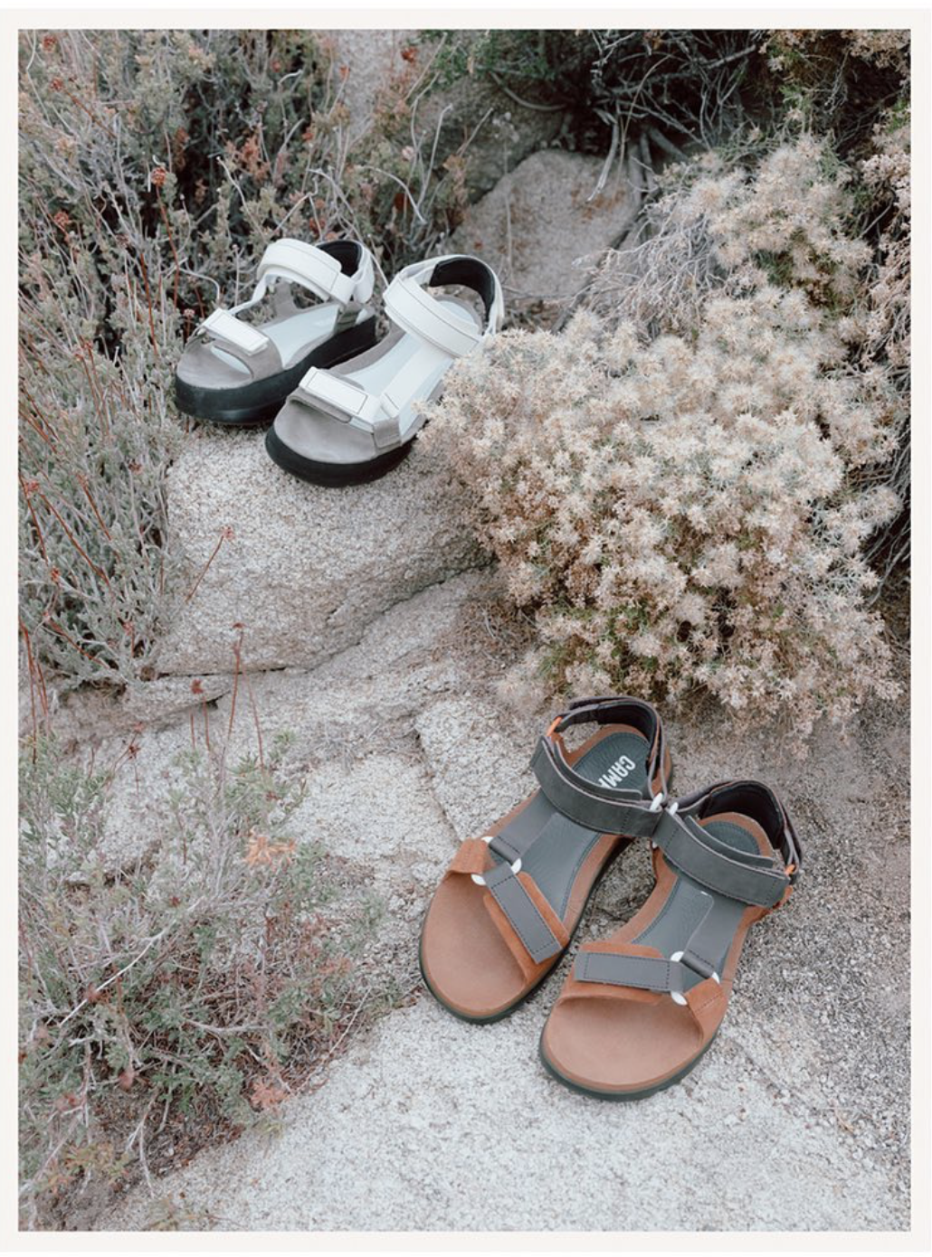 Screen Shot 2019-05-22 at 11.18.46 AM.png