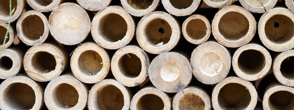 The 10 Best Eco-Friendly Materials for Product Design