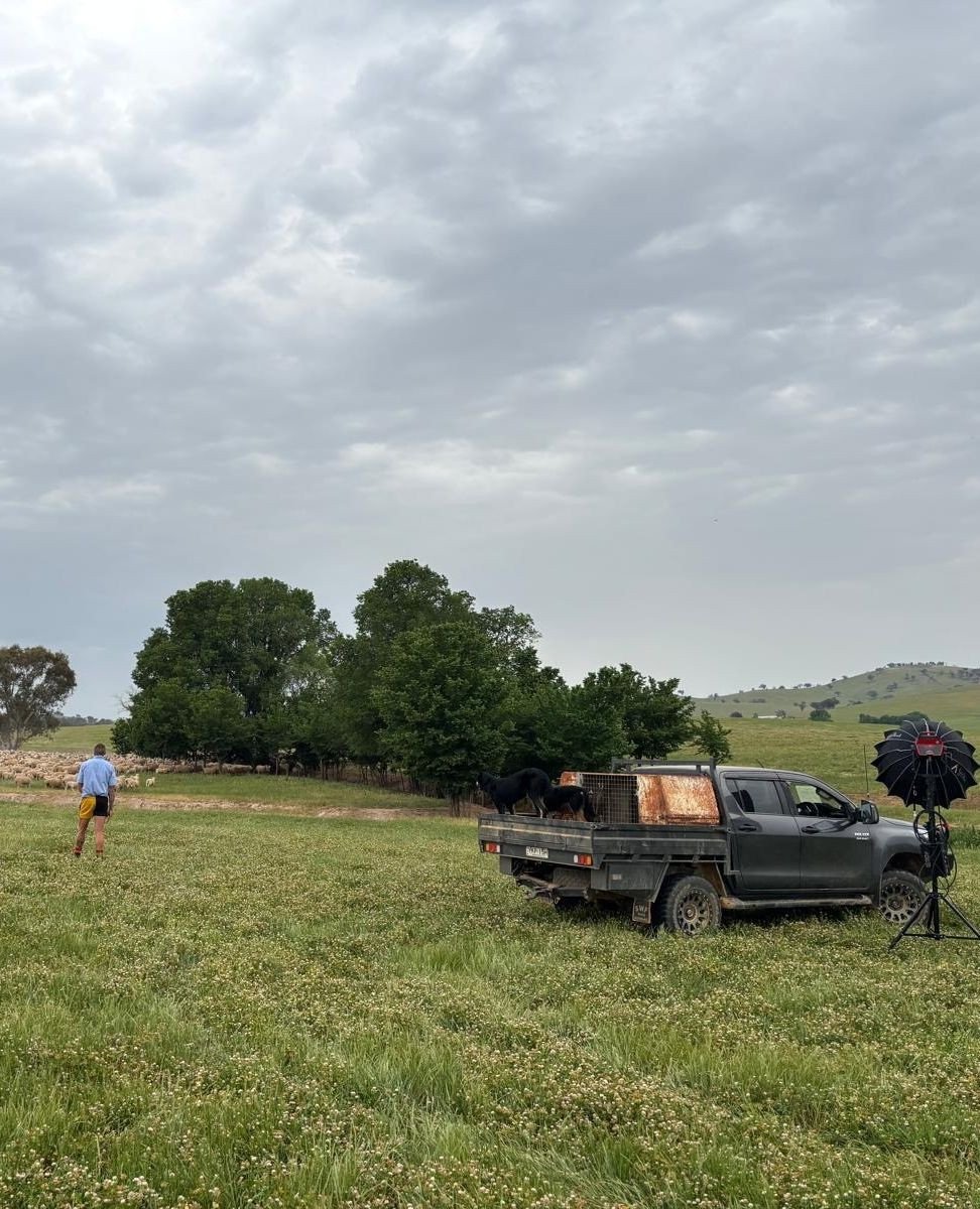 Great to have the @livestocksolutions.zoetis marketing team out this morning filming a testimonial with Dan for their upcoming 2026 campaign on Gudair.⁠ 💉⁠
⁠
Dan spoke to our long-term use of the vaccine and the role it plays in protecting our flock